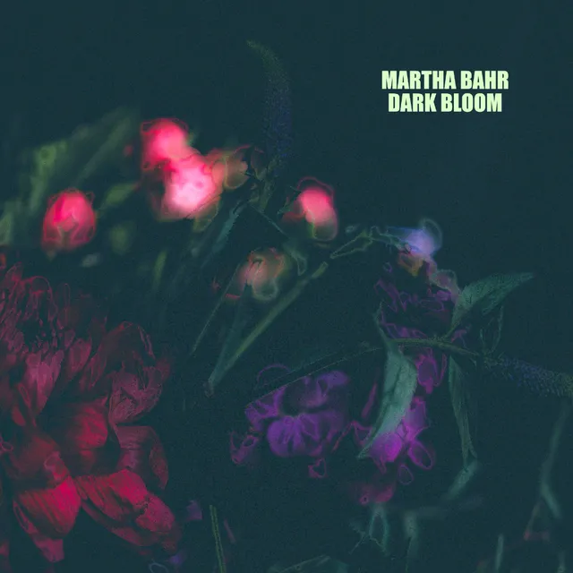 waldorf-iridium-quantum-soundset-dark-bloom-by-martha-bahr-preset-pack image 1