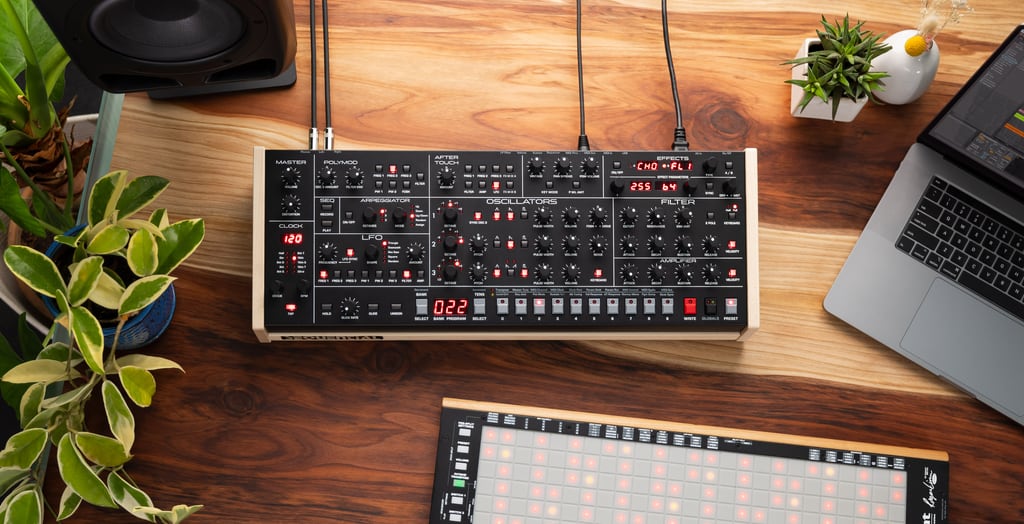 sequential-trigon-6-desktop-module-polyphoner-analog-synthesizer image 7